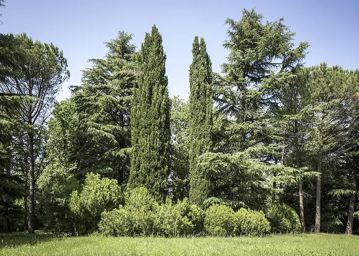 Hotel Grand Terme Riolo Terme