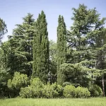 מלון Grand Terme ריולו טרמה
