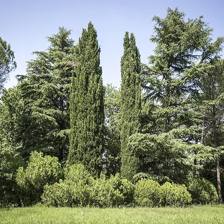 酒店 泰尔梅大酒店 里奥罗温泉