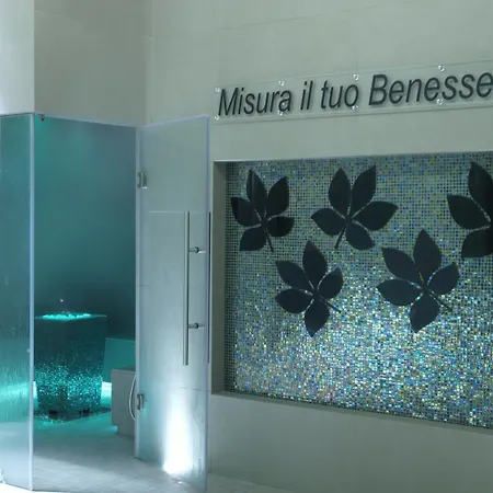 酒店 泰尔梅大酒店