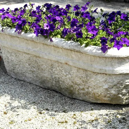 Hotel Grand Terme 4*
